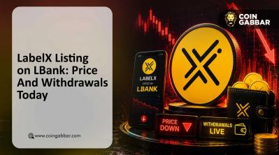 LabelX Listing on LBank: Price And Withdrawals Today