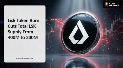 Lisk Token Burn Cuts Total LSK Supply From 400M to 300M