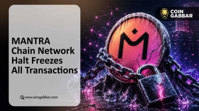MANTRA Chain Network Halt