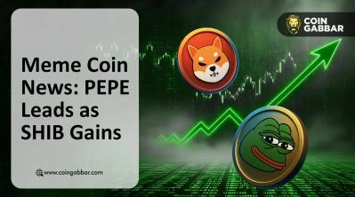 Meme Coin News: Shiba Inu Gains as PEPE Leads Today's