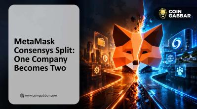 MetaMask Consensys Split: One Company Becomes Two