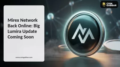 Mirex Network banner