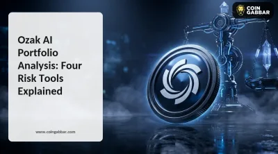 Ozak AI Portfolio Analysis: Four Risk Tools Explained