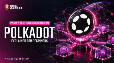 Parity Technologies Role in Polkadot Explained for Beginners