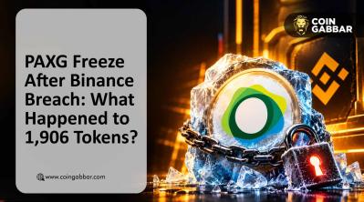 PAXG Freeze Puts Binance Security Incident in Spotlight