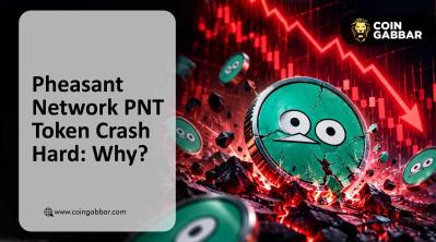 Pheasant Network PNT token price crash and airdrop claim issues