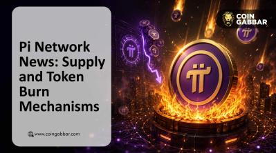 Pi Network News: Supply and Token Burn Mechanisms