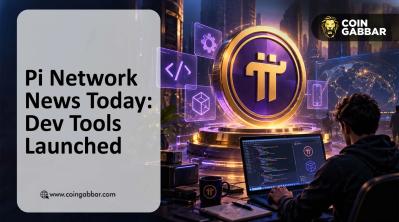 Pi Network News News: Dev Tools Launched