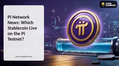 Pi Network News: Which Stablecoin Live on the Pi Testnet?