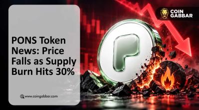 PONS Token News: Price Falls as Supply Burn Hits 30%
