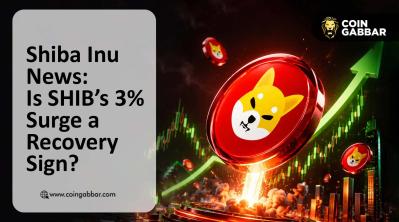 Shiba Inu coin news: SHIB price surge and recovery chart