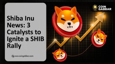 Shiba Inu news SHIB price rally ShibaSwap DEX volume and burn rate