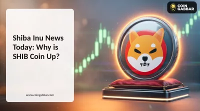 Shiba Inu news today Rakuten giveaway and SHIB coin price rally