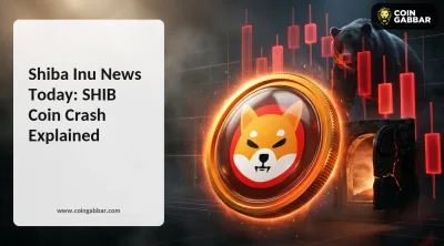 Shiba Inu news today SHIB coin price crash and burn activity drop