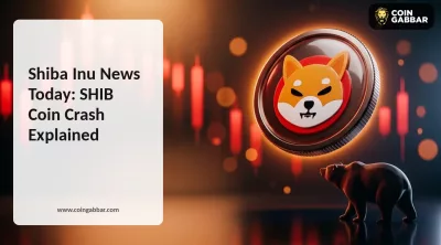 Shiba Inu news today: SHIB price chart shows a 6.1% crash