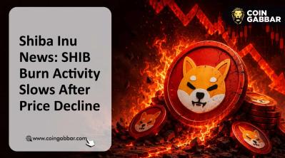 Shiba Inu news today SHIB price crash and burn activity decline