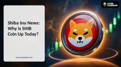Shiba Inu news today SHIB price and Shibarium reorg update