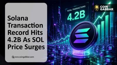 Solana Transaction Record Banner