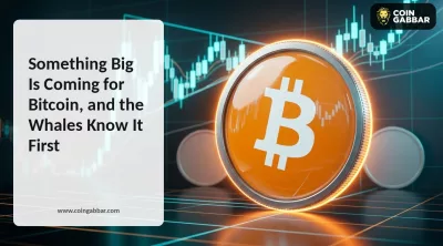 Something Big Is Coming for Bitcoin, and the Whales Know It First