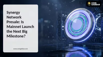 Synergy Network Presale: Mainnet Launch and SNRG Utility