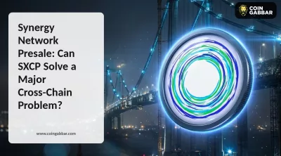Synergy Network Presale: SXCP and Live Stage 1 Data