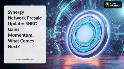 Synergy Network Presale: SNRG Price and Stage 1 update