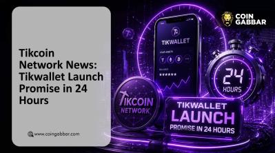 Tikcoin Network News: Tikwallet Launch Promise in 24 Hours