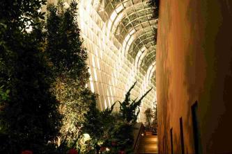 Paybis Hosts The Garden Room at TOKEN2049, On/Off Ramp 7× Faster