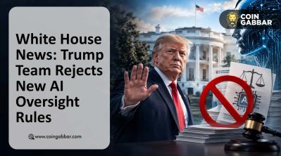 White House News Sparks Debate Over AI Oversight