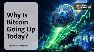 Why Is Bitcoin Going Up Today