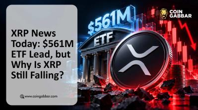 XRP News Today showing Bitwise's $561 million XRP ETF holdings