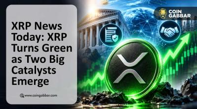 XRP News Today ETF Inflows RLUSD Borrowing