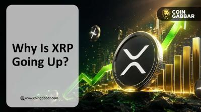 XRP News Today: Why Is XRP Going Up as Whales Buy 300M Tokens?