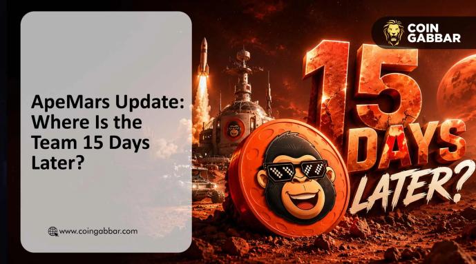 ApeMars 15 Days Later: Where Is the Team and What Happened to $532K