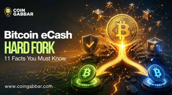 Bitcoin eCash hard fork timeline and blockchain split visualization.