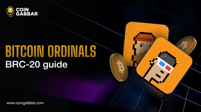 Bitcoin Ordinals BRC-20 guide