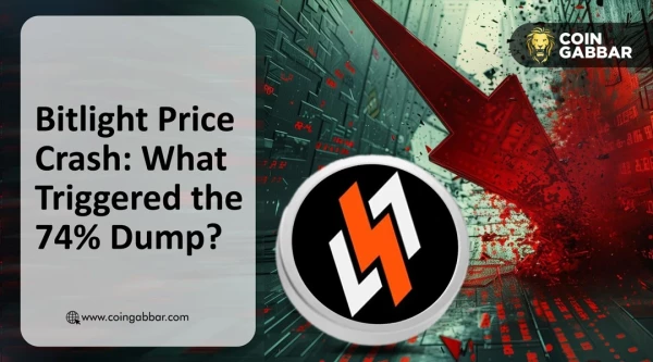 Bitlight Price Crash: What Triggered the 74% Dump?