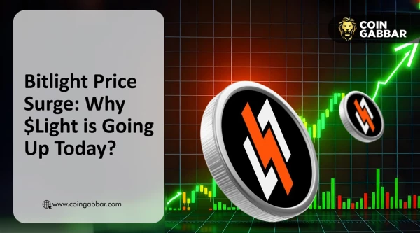 Bitlight Price Surge: Why $Light is Going Up Today?