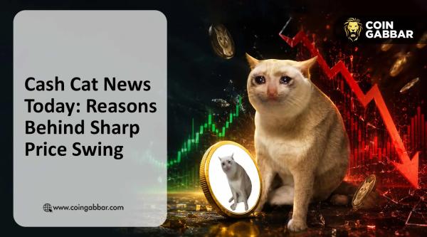 Cash Cat News: Why This Memecoin Surged High, and Now Crashing Hard?