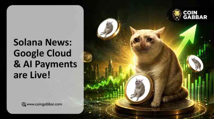Cash Cat Price Prediction: CASHCAT Soars on BSC and Robinhood Buzz