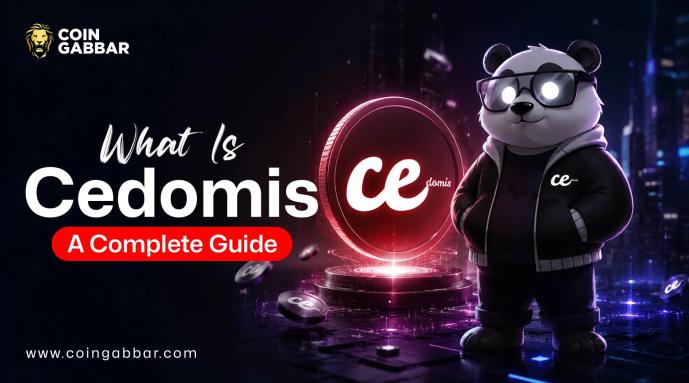 Understanding of Cedomis: How It Works and What's Next