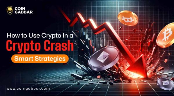 Crypto crash strategy and risk management guide