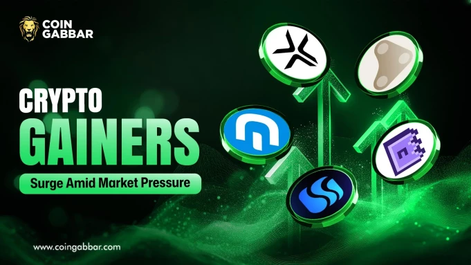 Crypto Gainers Surge Amid Market Pressure