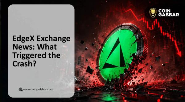 EdgeX Exchange News: Reasons Why EDGE Crashed Today