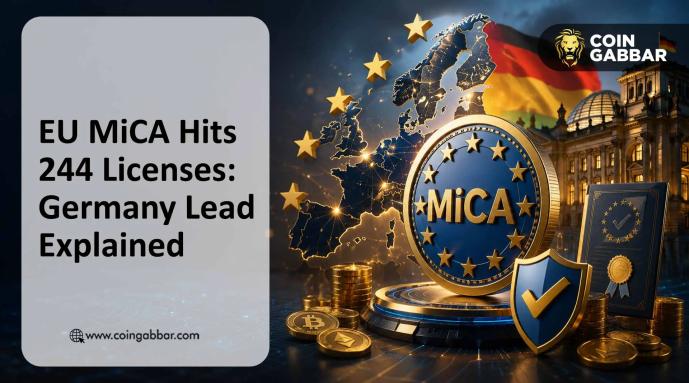 244 EU MiCA Crypto Licenses Issued: Germany Leads, 5 Nations at Zero