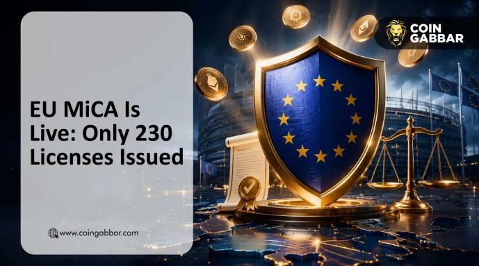 Regulación MiCA de la UE julio 2026: ¿Por qué Alemania lidera en aprobaciones de licencias?