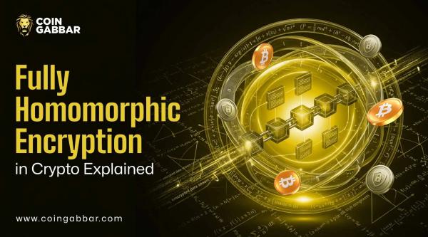 Fully homomorphic encryption crypto privacy illustration