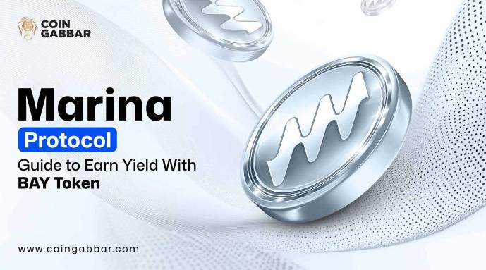 Marina Protocol Guide to Earn Yield With BAY Token