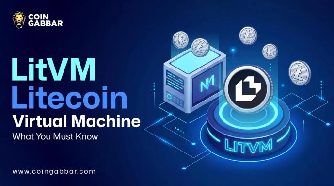 LitVM is a Litecoin virtual machine: What You Must Know