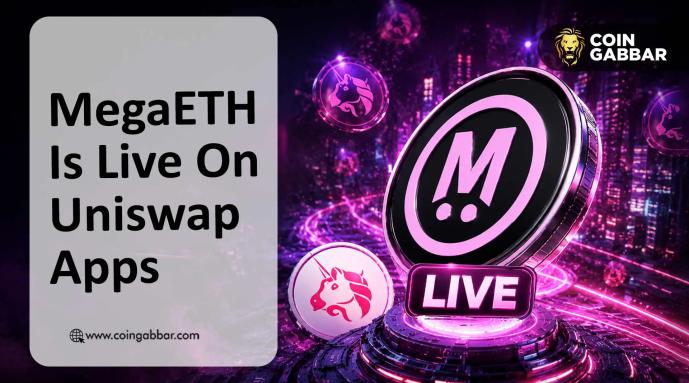 MegaETH Live on Uniswap Apps: How to Swap Token and Provide Liquidity?